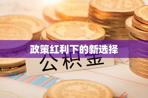 锦州政策红利下的新选择